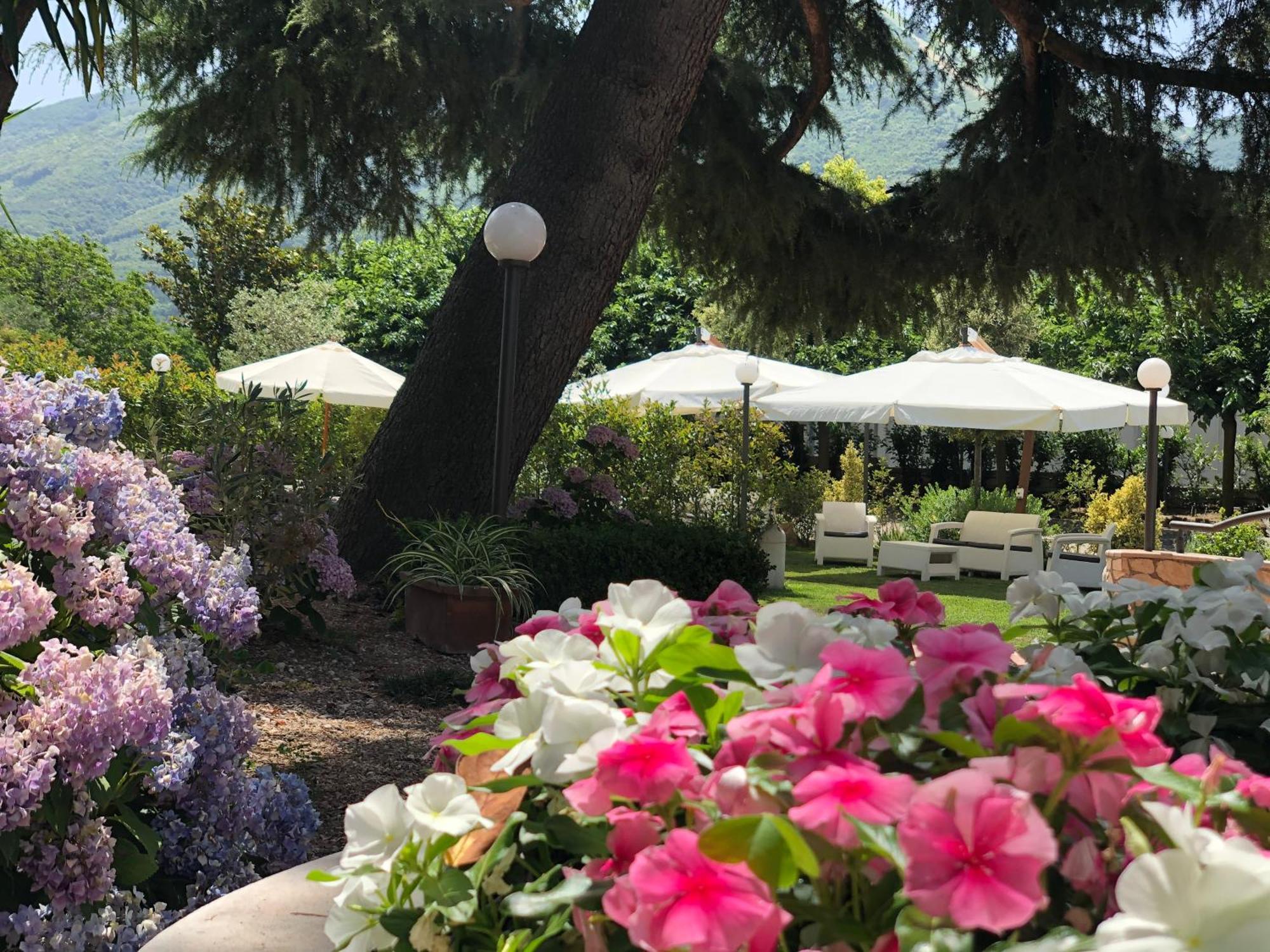 Yellow Park Hotel Forchia Extérieur photo