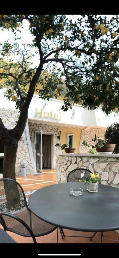 Yellow Park Hotel Forchia Extérieur photo